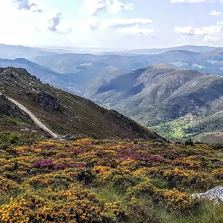 Paco Da Torre De Figueiredo Donas Figueiredo das Donas