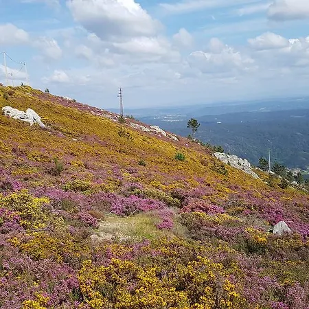 招待所 Paco Da Torre De Figueiredo Donas Figueiredo das Donas