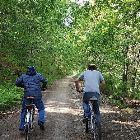 Gasthof Paco Da Torre De Figueiredo Donas