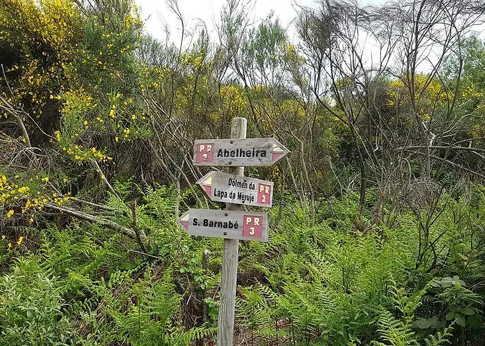 Paco Da Torre De Figueiredo Donas 4* Figueiredo das Donas