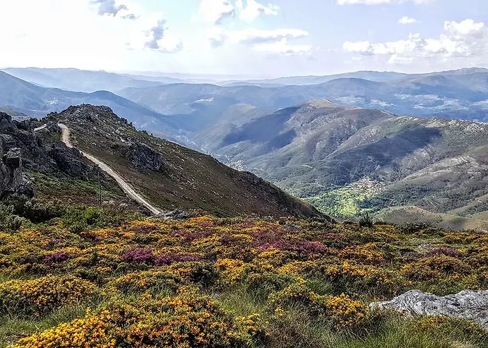 Paco Da Torre De Figueiredo Donas Figueiredo das Donas