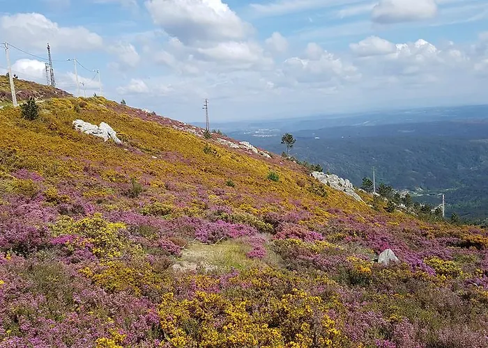 Gæstehus Paco Da Torre De Figueiredo Donas Figueiredo das Donas