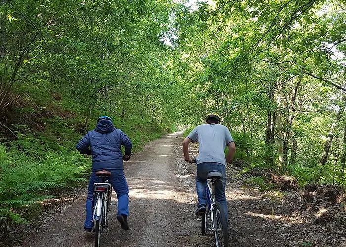 Gæstehus Paco Da Torre De Figueiredo Donas