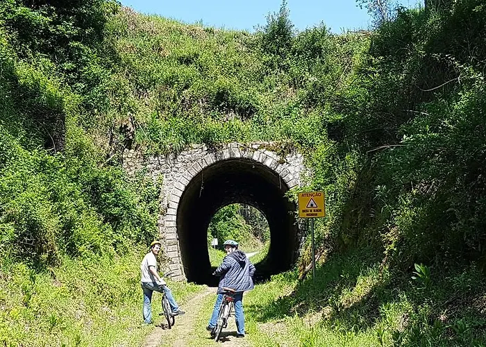Pensión Paco Da Torre De Figueiredo Donas 4*