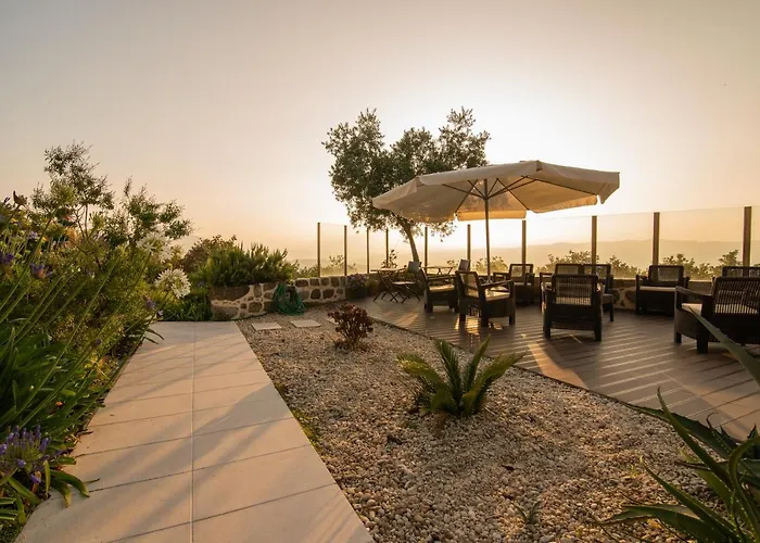 Paco Da Torre De Figueiredo Donas Pensión